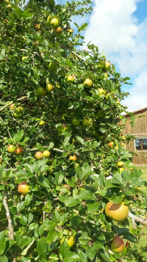 Gite Cosy Grand Confort Dans Un Ecrin De Verdure Agudelle Exterior foto